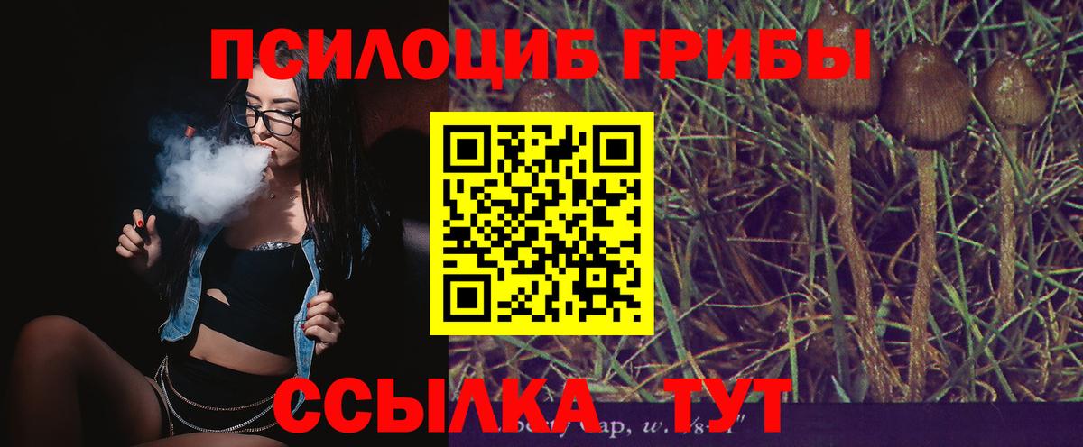 Старый Оскол  Псилоцибиновые грибы Psilocybe  Вход с VPN 