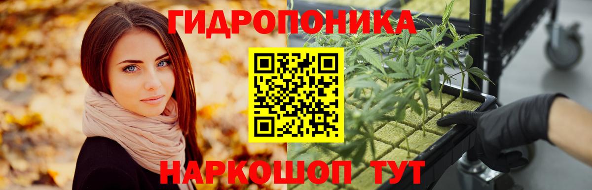 Каннабис Amnesia Старый Оскол